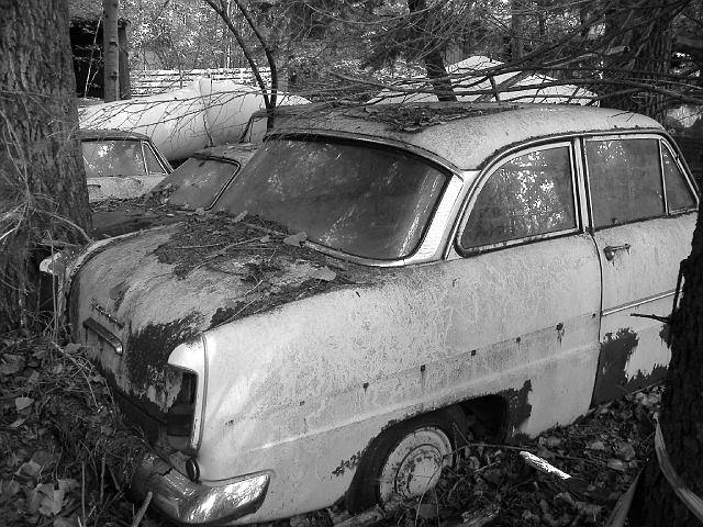 Autofriedhof - 091.JPG - Historischer Autofriedhof,    Gürbetal (CH)